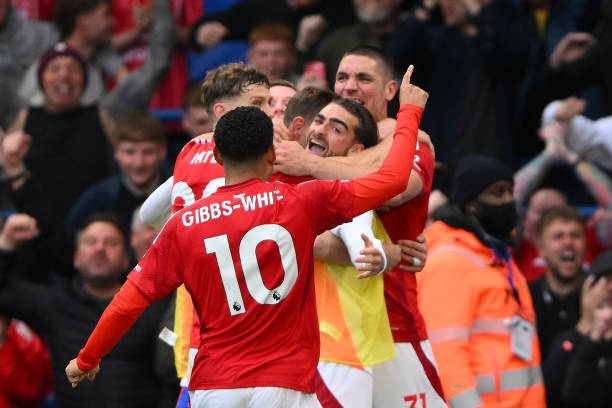 爱好者期待 爱好者期待