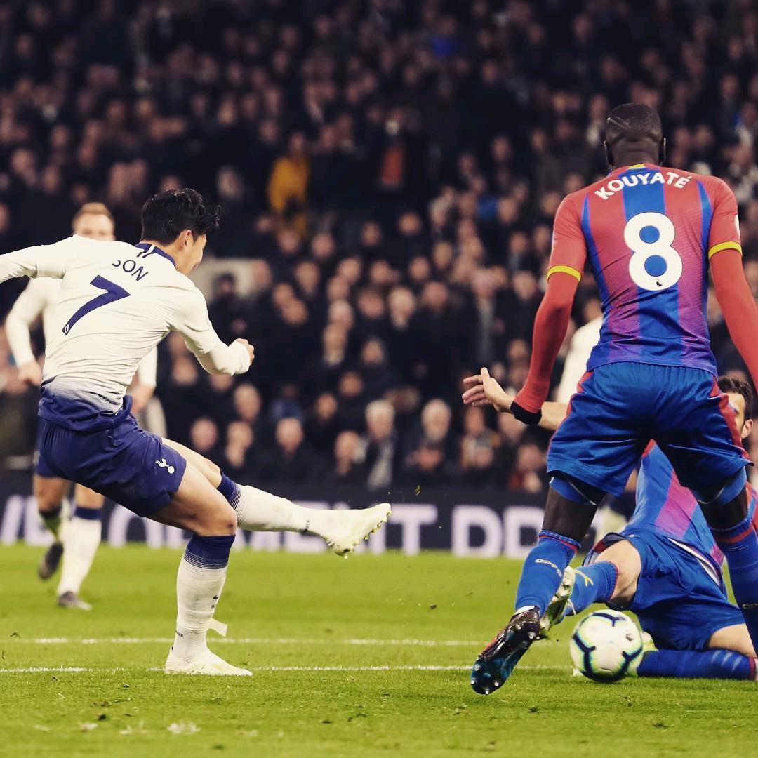 明智的球员 明智的球员